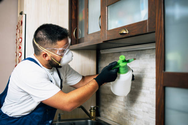 Best Wasp Removal Services  in Elmore, AL