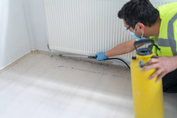 Best Exterminator Services  in Elmore, AL