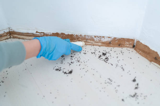 Best Pest Removal Services  in Elmore, AL