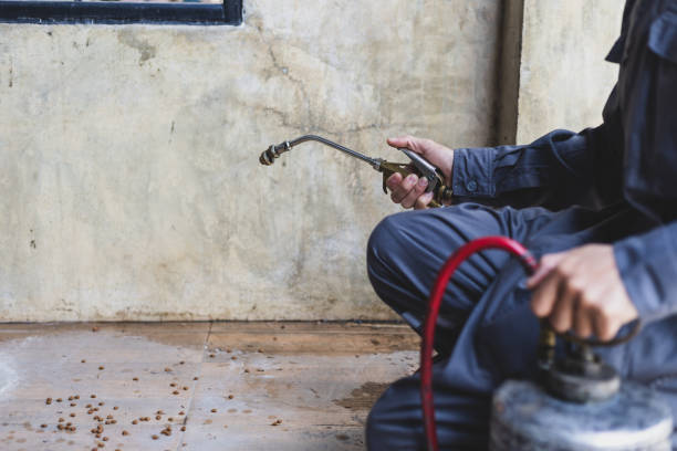 Wasp Removal Services in Elmore, AL