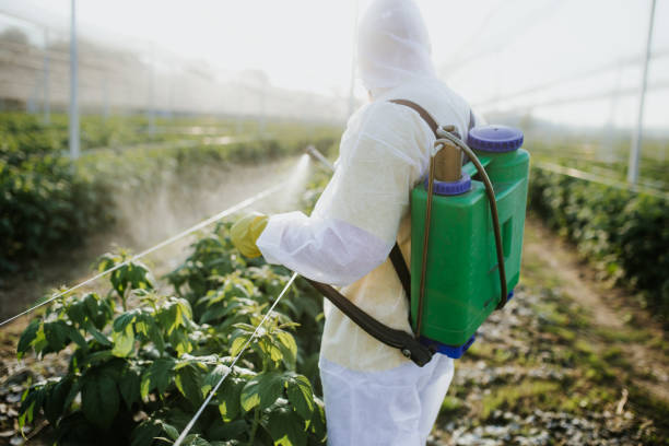 Professional Pest Control in Elmore, AL